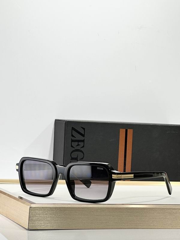 Zegna Glasses sms (96)