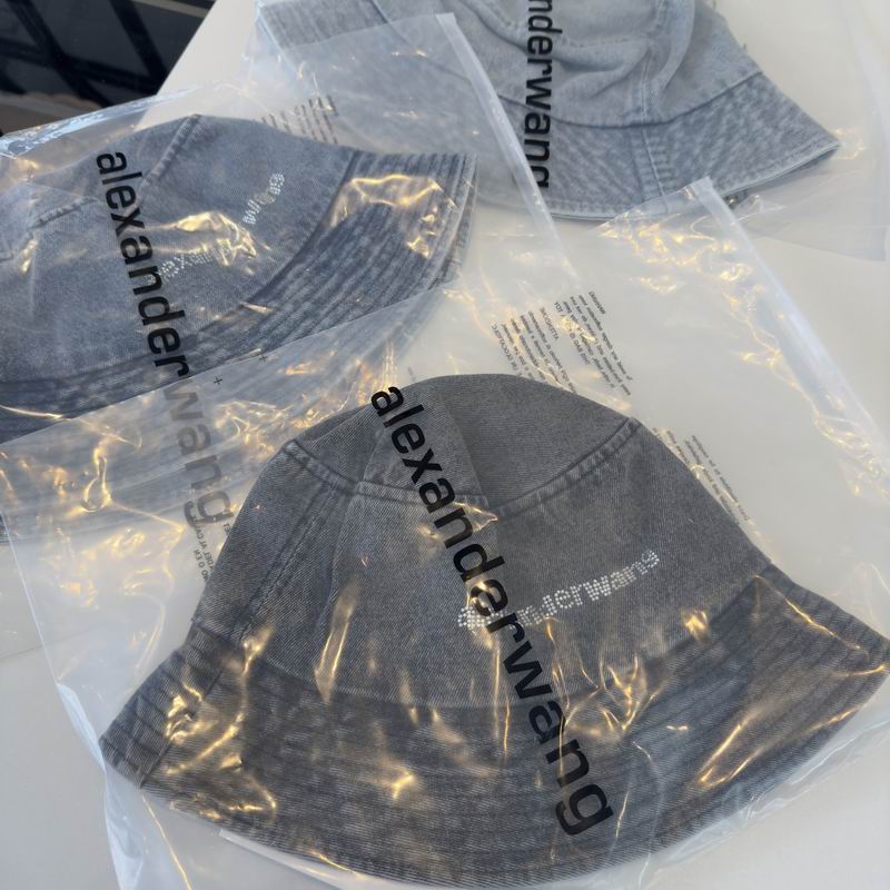 Alexander Wang Hat dx (317)