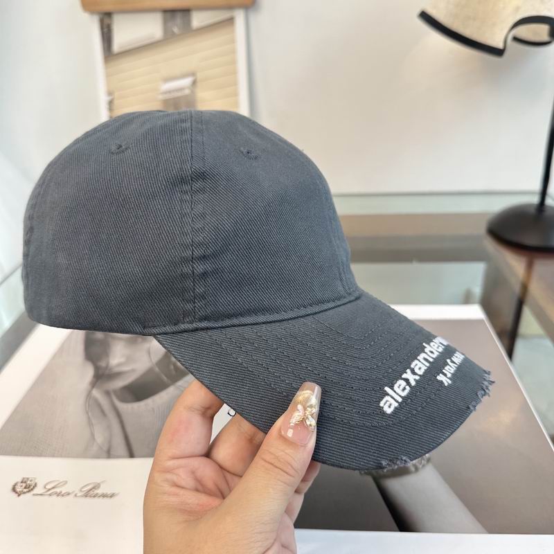Alexander Wang cap dx (139)