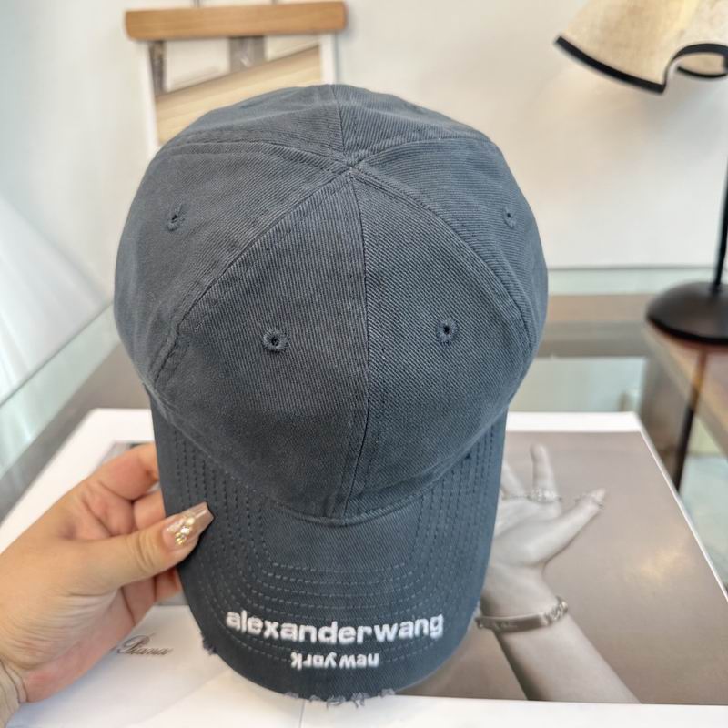 Alexander Wang cap dx (140)