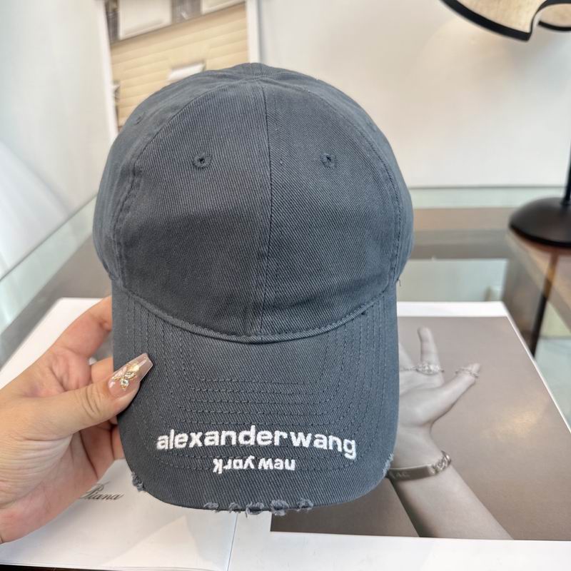 Alexander Wang cap dx (141)