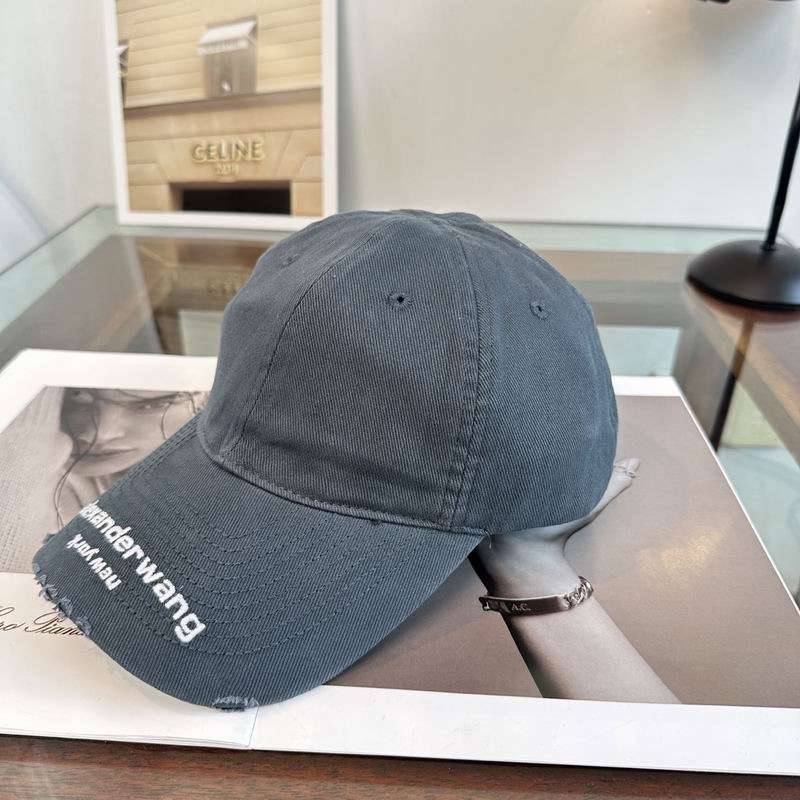 Alexander Wang cap dx (142)
