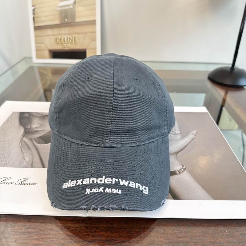 Alexander Wang cap dx (144)