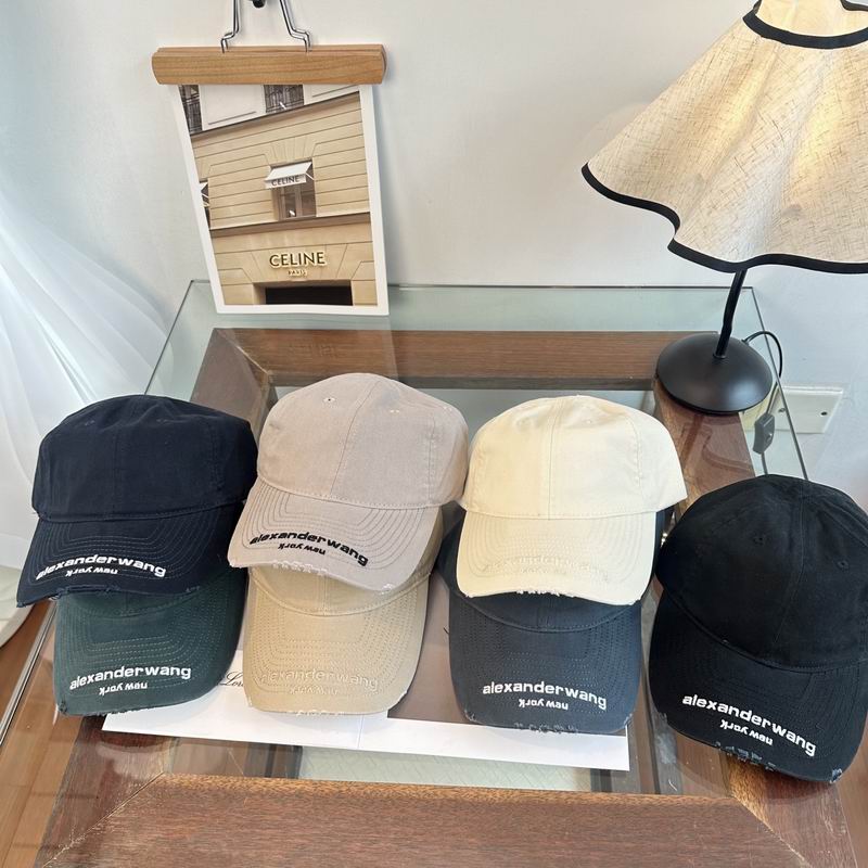 Alexander Wang cap dx (145)