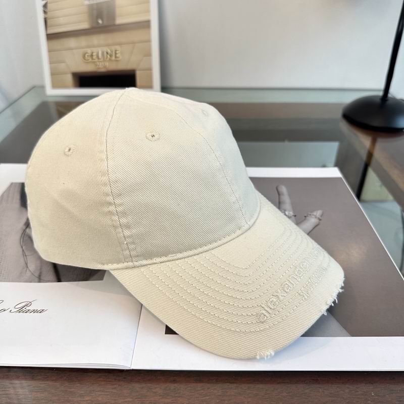 Alexander Wang cap dx (153)