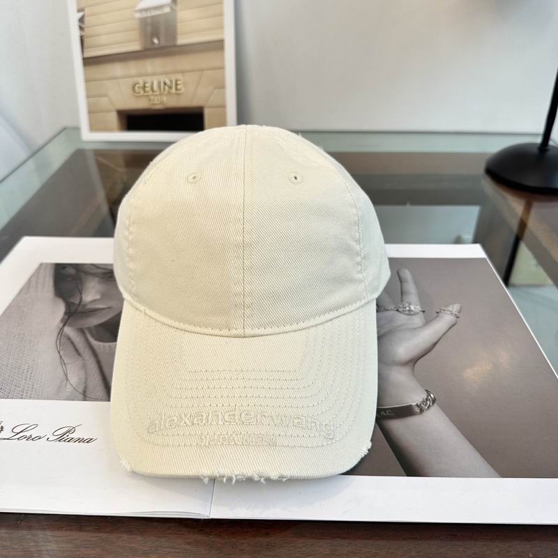 Alexander Wang cap dx (154)