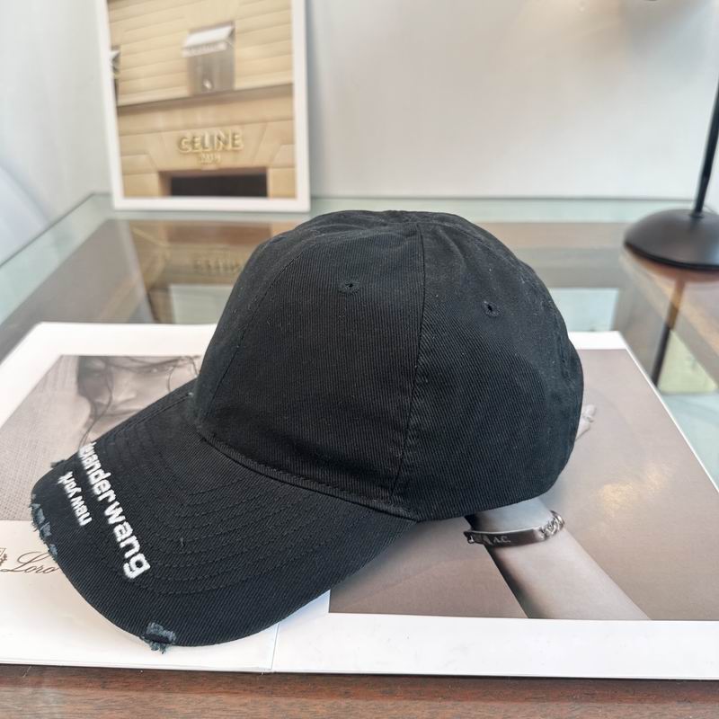Alexander Wang cap dx (161)