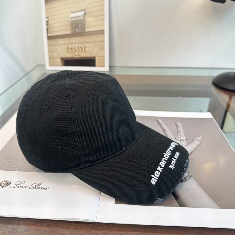 Alexander Wang cap dx (162)