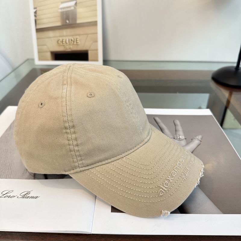 Alexander Wang cap dx (172)