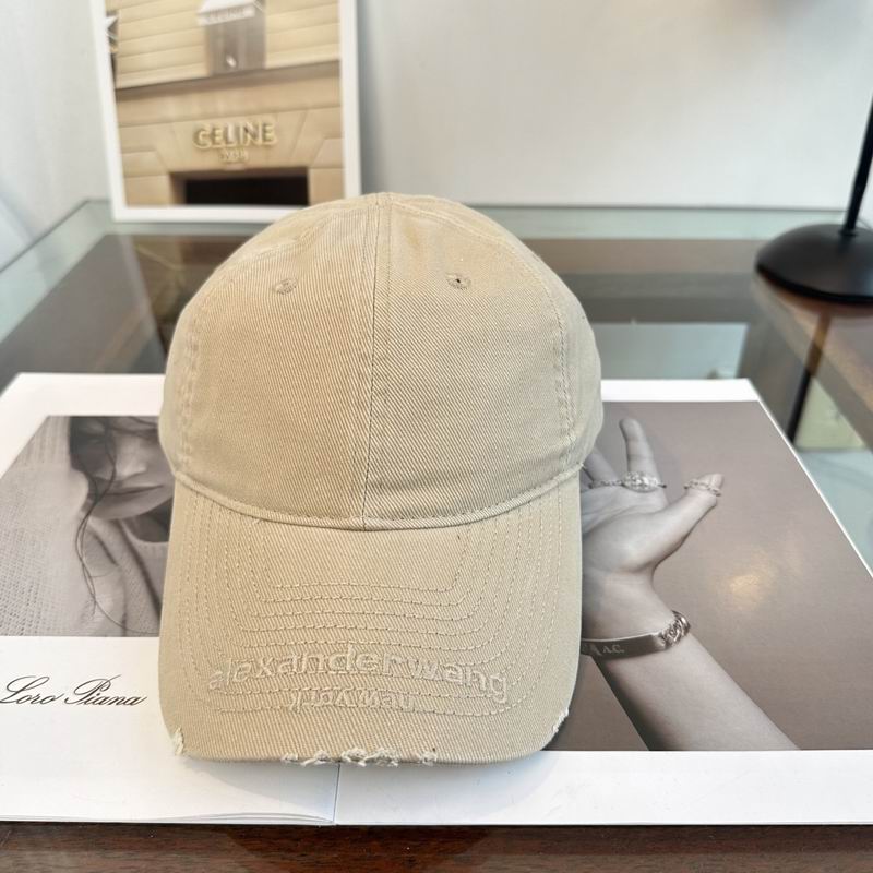 Alexander Wang cap dx (173)