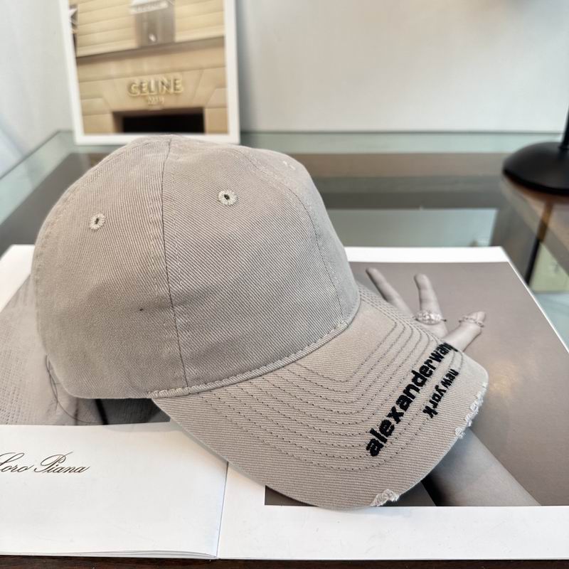 Alexander Wang cap dx (181)