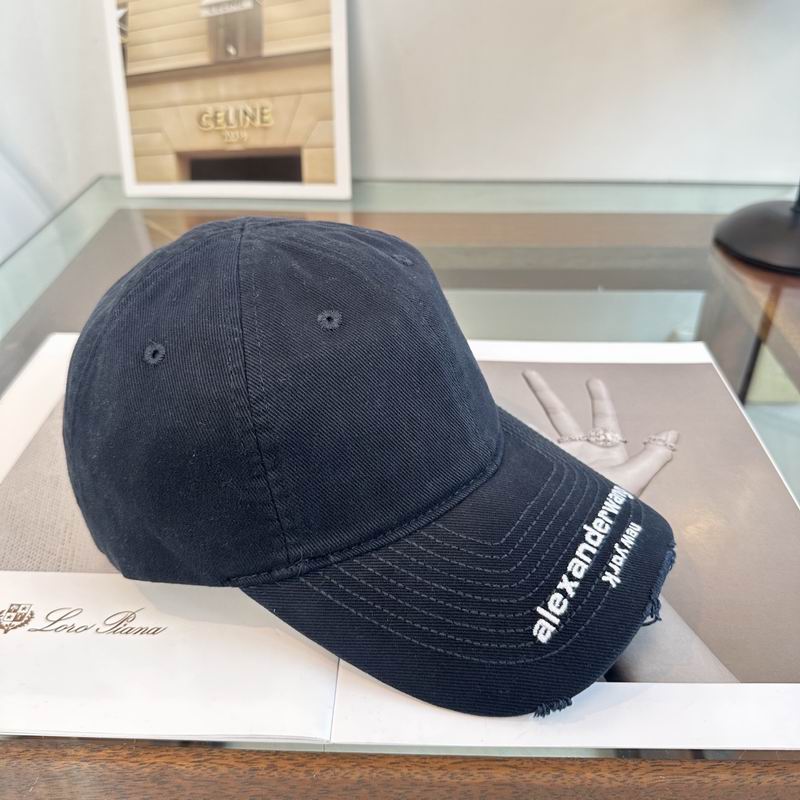 Alexander Wang cap dx (199)