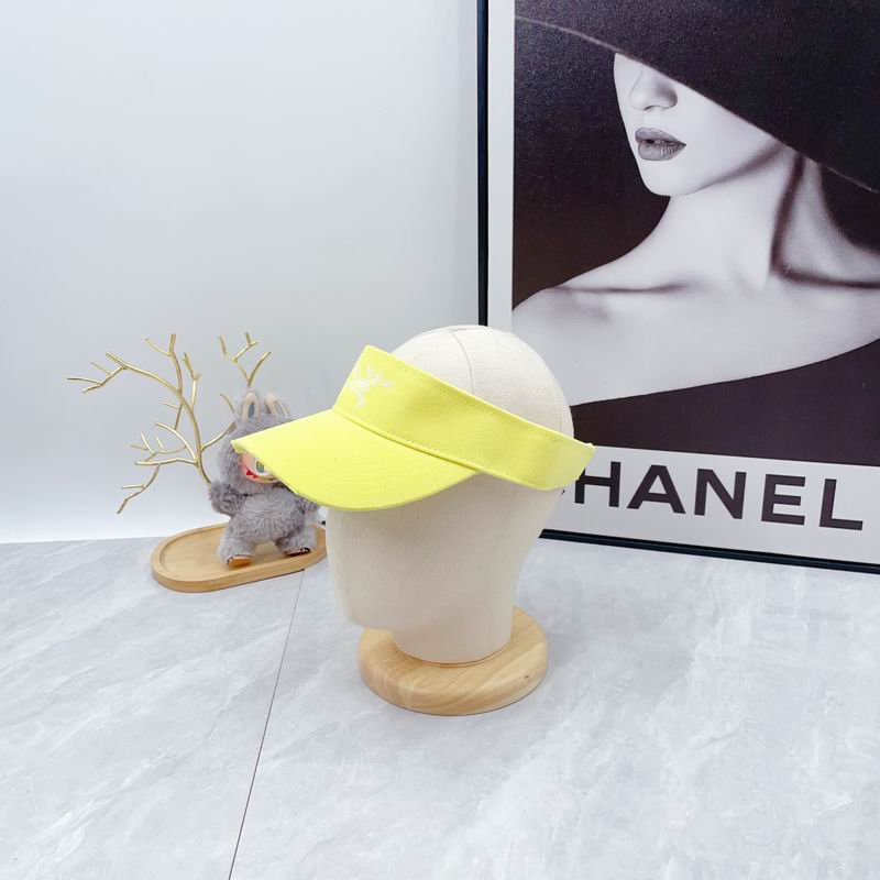 Arcteryx Visor dx (107)