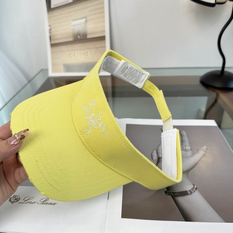 Arcteryx Visor dx (491)