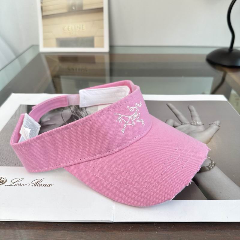 Arcteryx Visor dx (554)