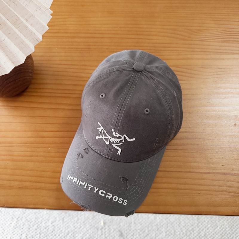 Arcteryx cap dx (117)