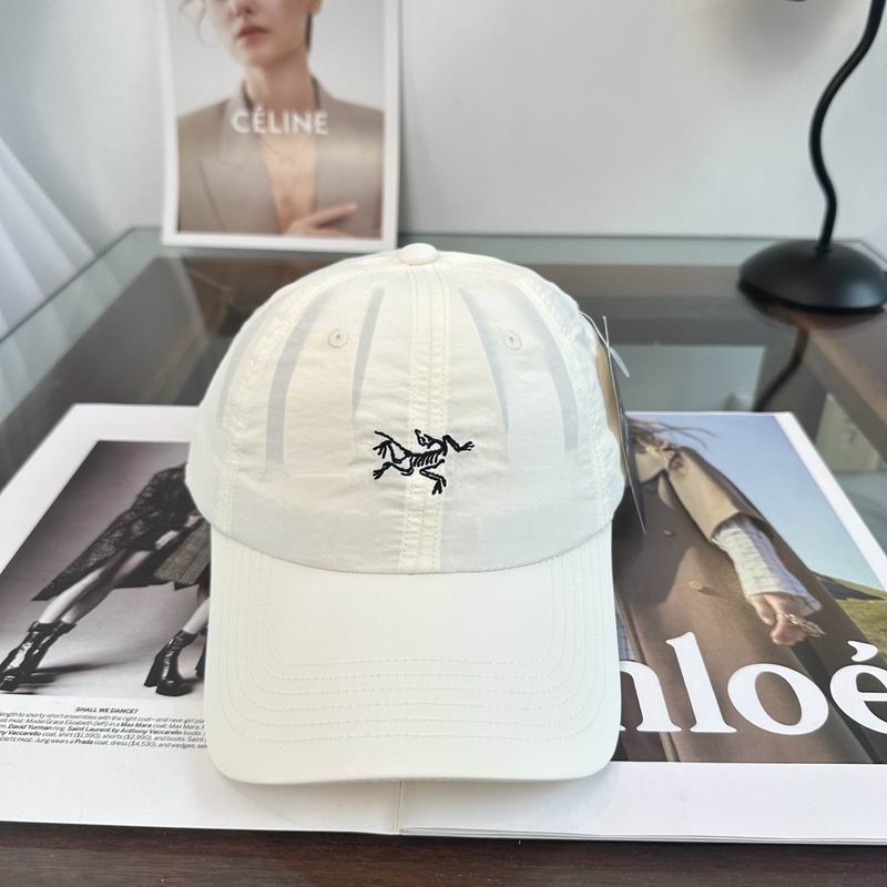 Arcteryx cap dx (2011)