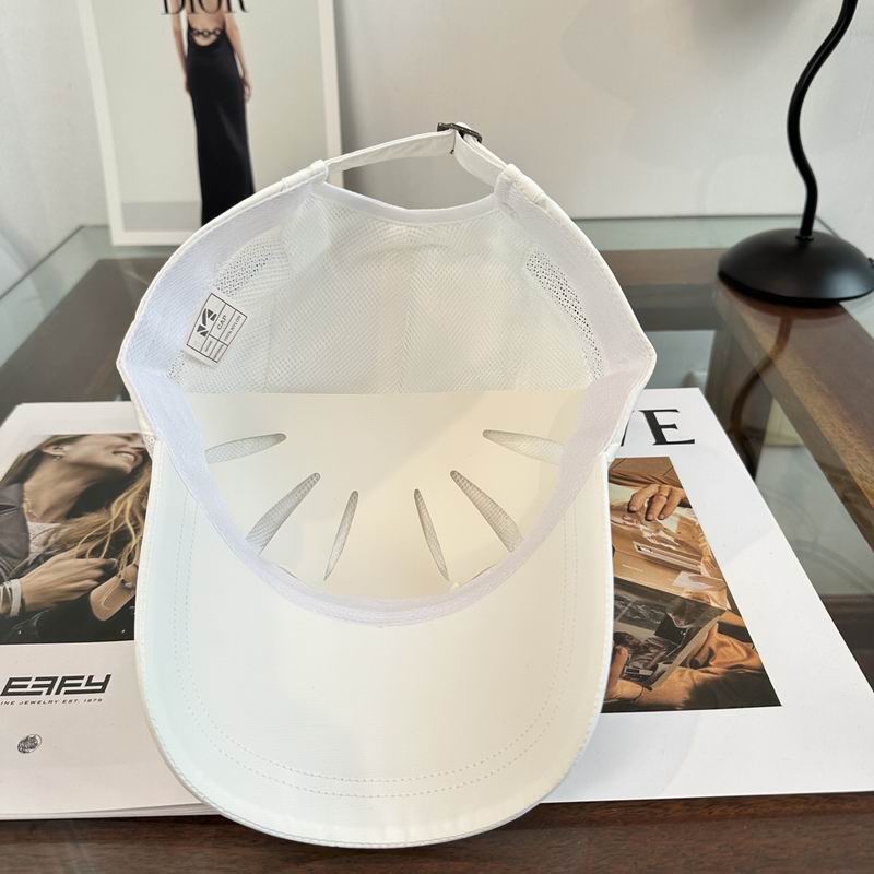 Arcteryx cap dx (243)