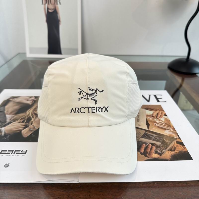 Arcteryx cap dx (288)