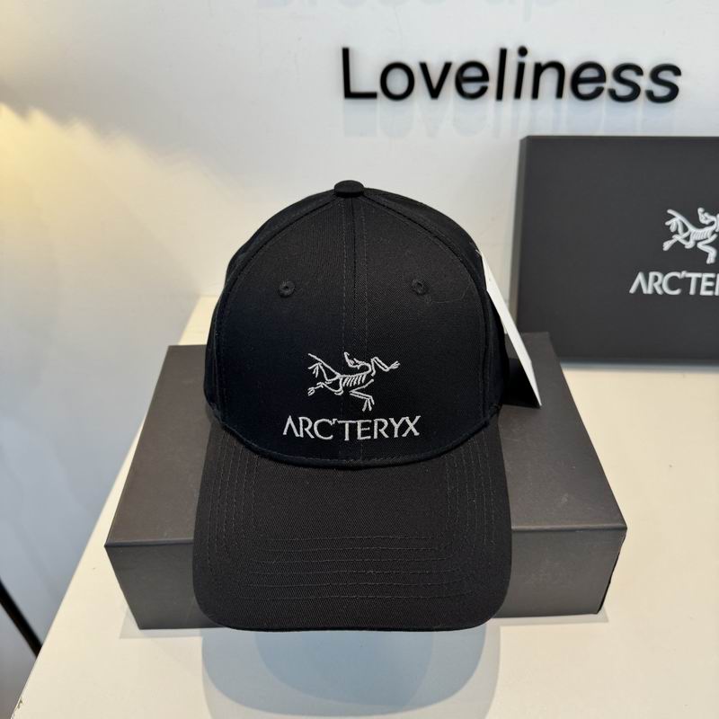 Arcteryx cap dx (332)