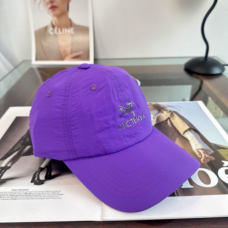 Arcteryx cap dx (3398)