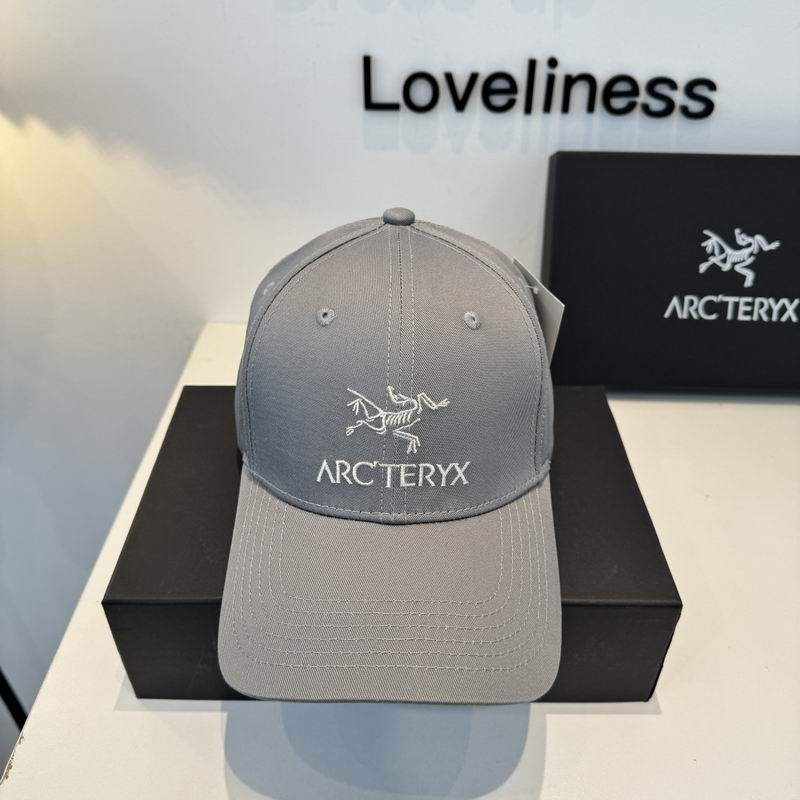 Arcteryx cap dx (340)