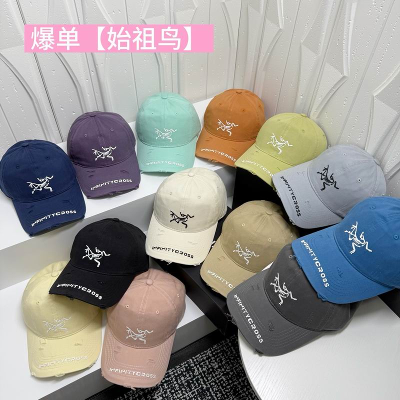 Arcteryx cap dx (3459)