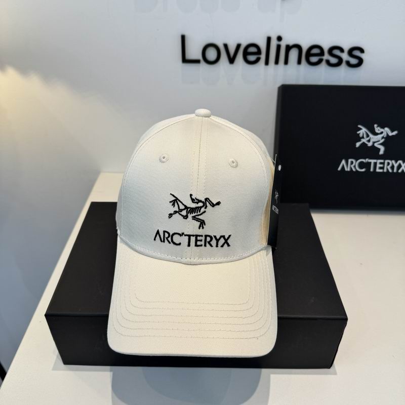 Arcteryx cap dx (348)