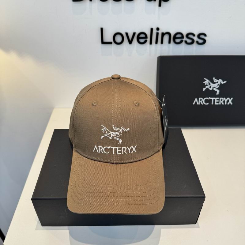 Arcteryx cap dx (356)