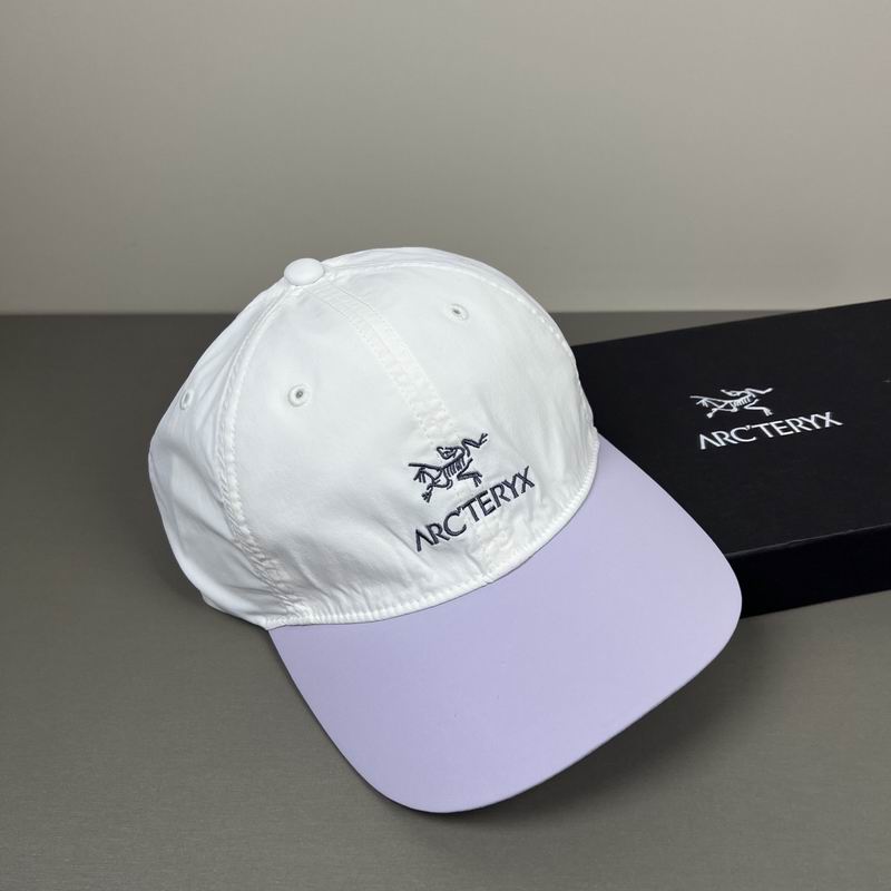 Arcteryx cap dx (357)