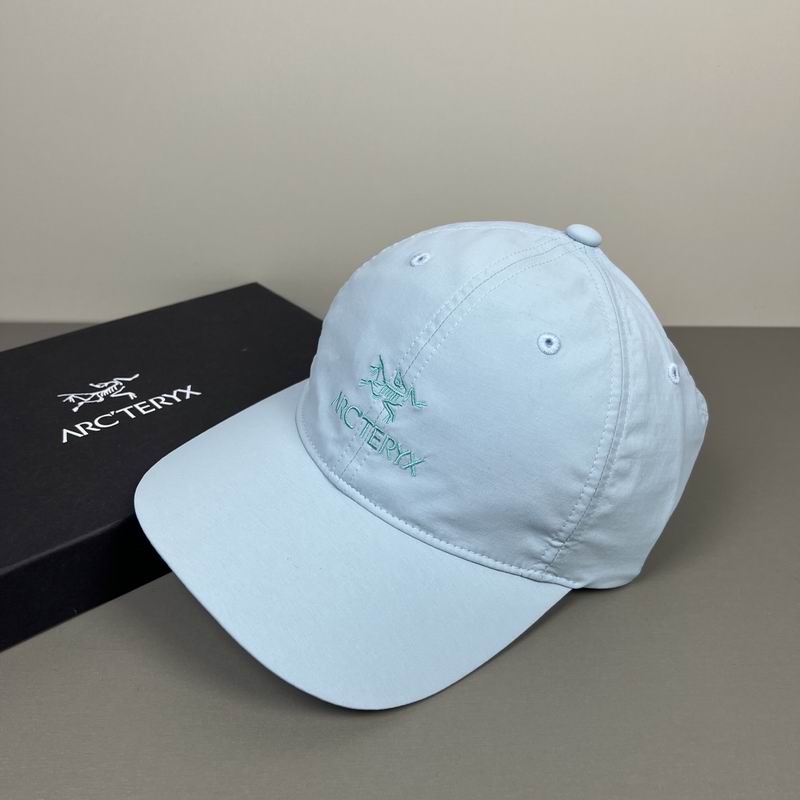 Arcteryx cap dx (362)