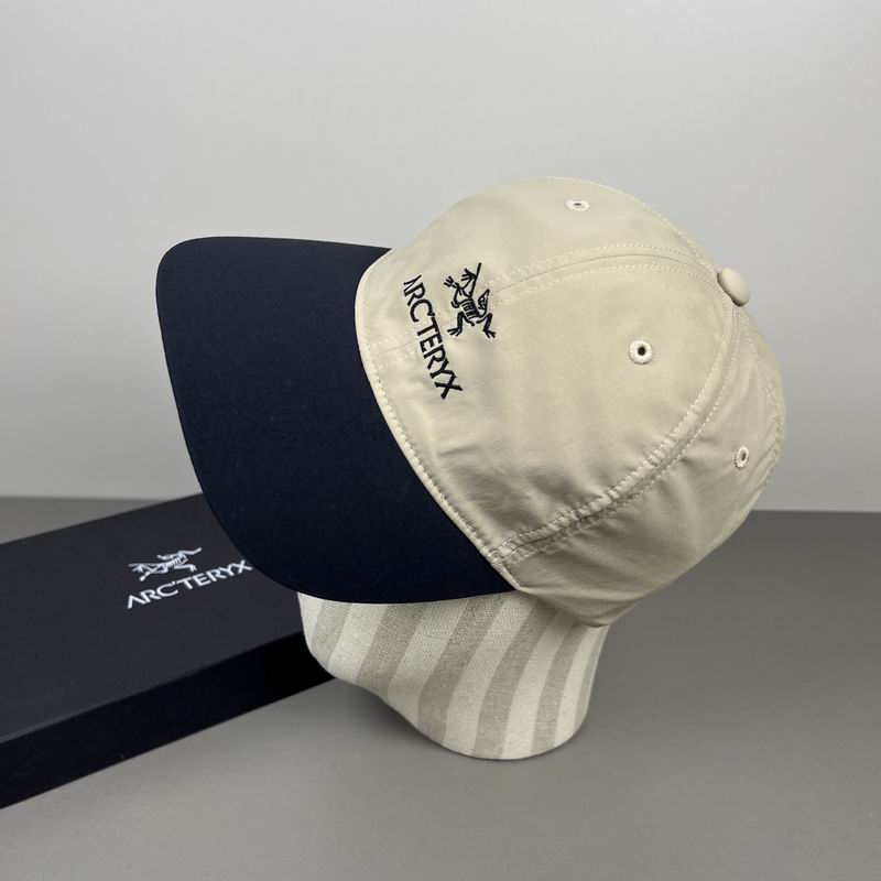 Arcteryx cap dx (365)