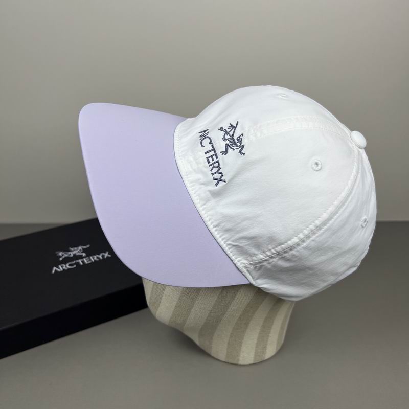 Arcteryx cap dx (373)