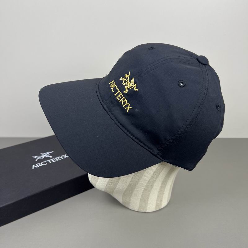 Arcteryx cap dx (378)