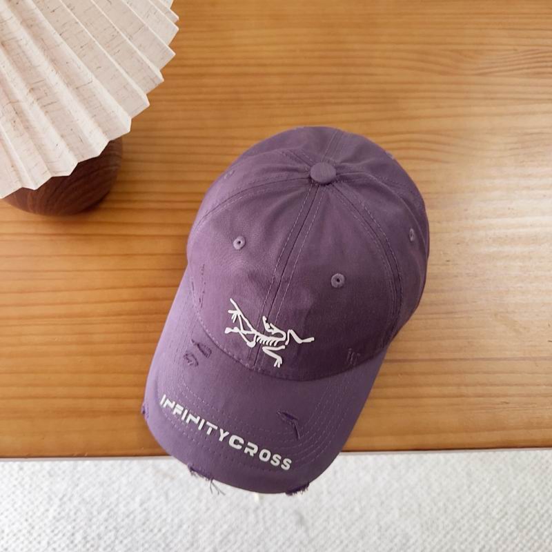 Arcteryx cap dx (63)