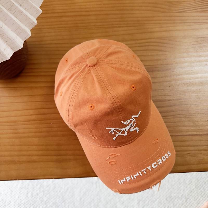 Arcteryx cap dx (69)