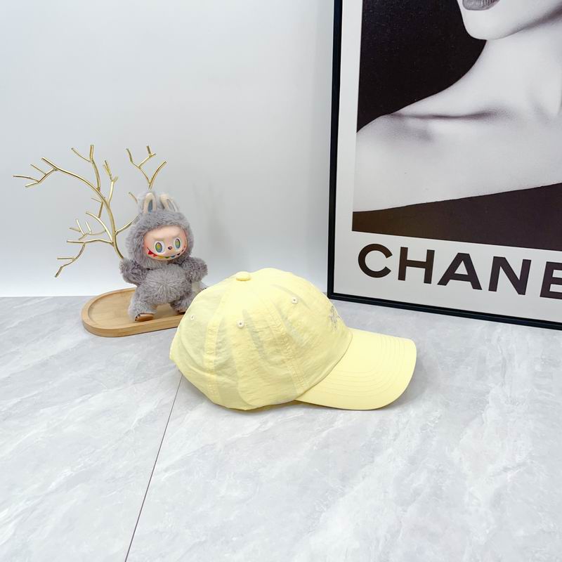 Arcteryx cap dx (850)