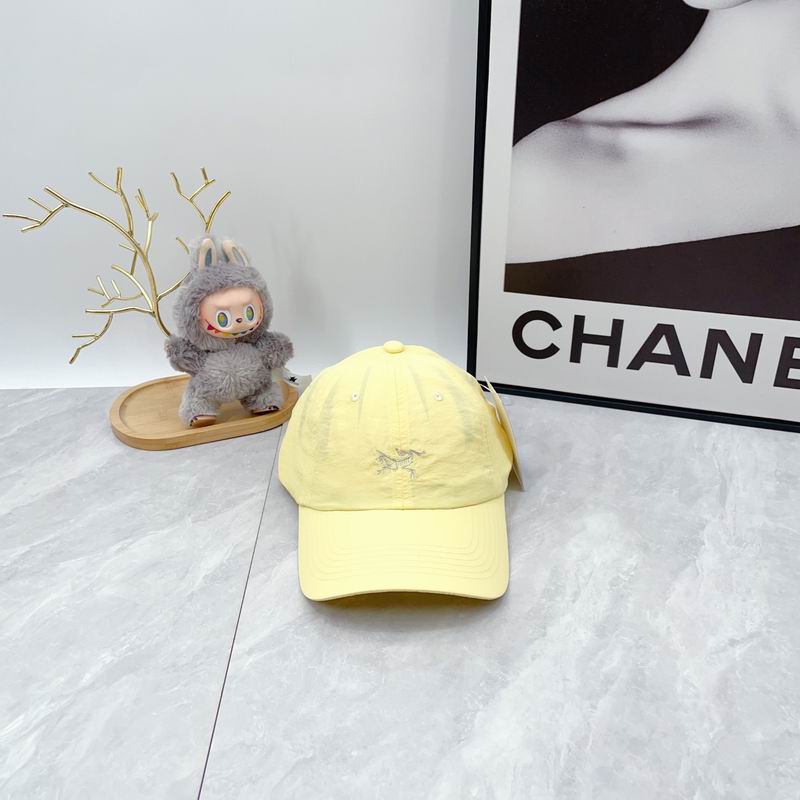 Arcteryx cap dx (851)