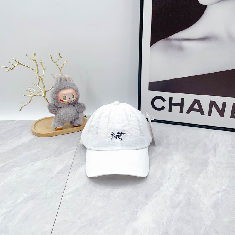 Arcteryx cap dx (860)