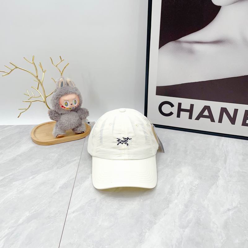 Arcteryx cap dx (869)