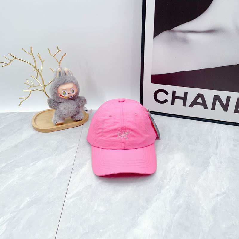 Arcteryx cap dx (887)