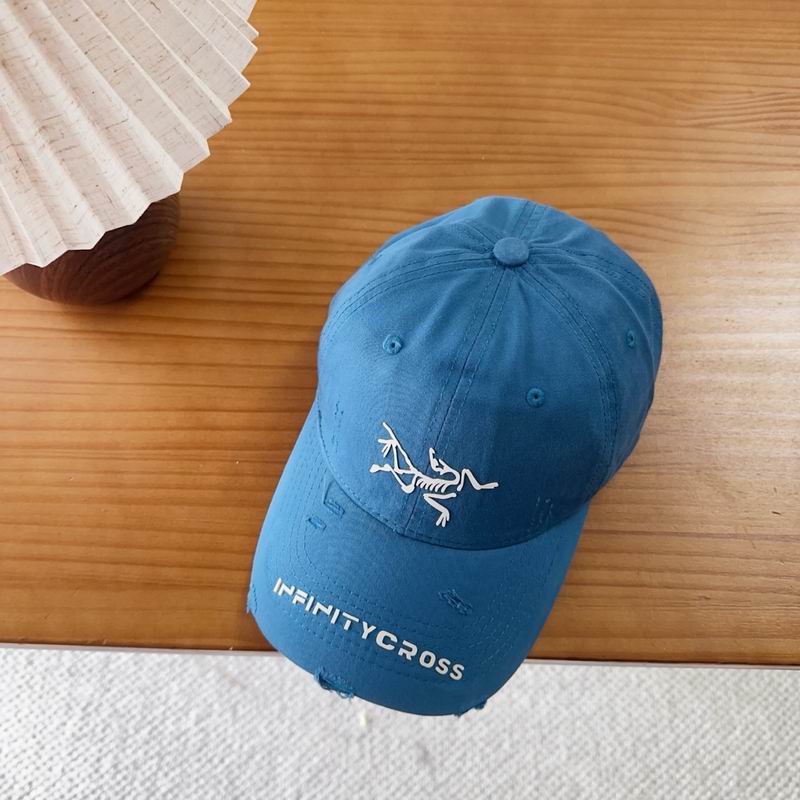 Arcteryx cap dx (99)