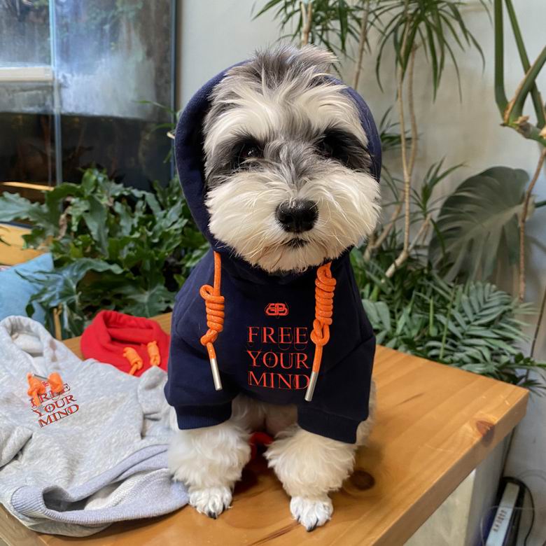 Balenciaga S-XXL (7)