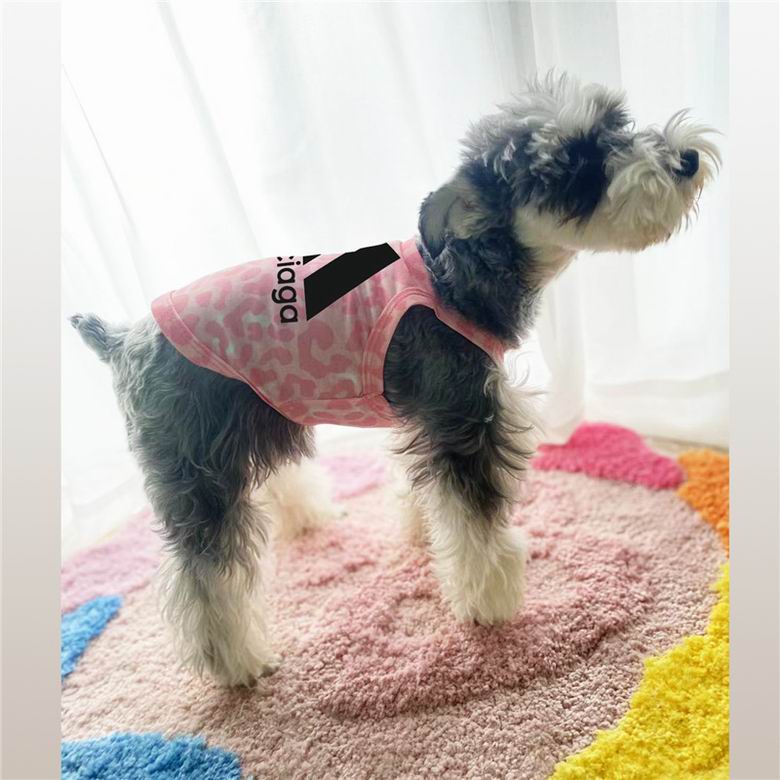 Balenciaga S-XXL  (2)