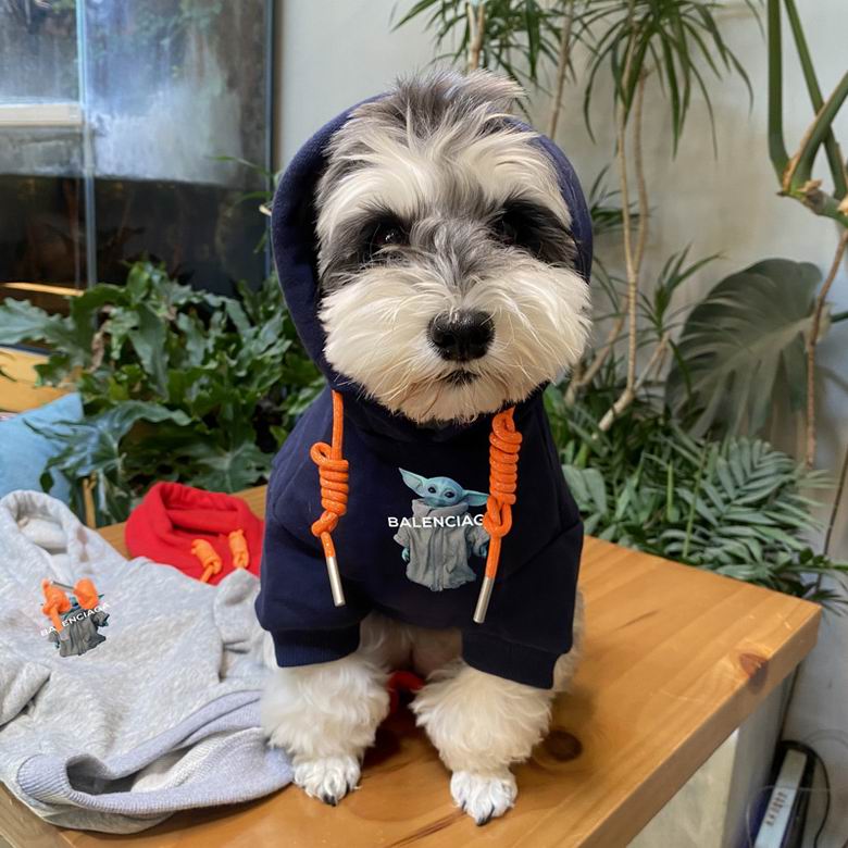 Balenciaga S-XXL  (7)