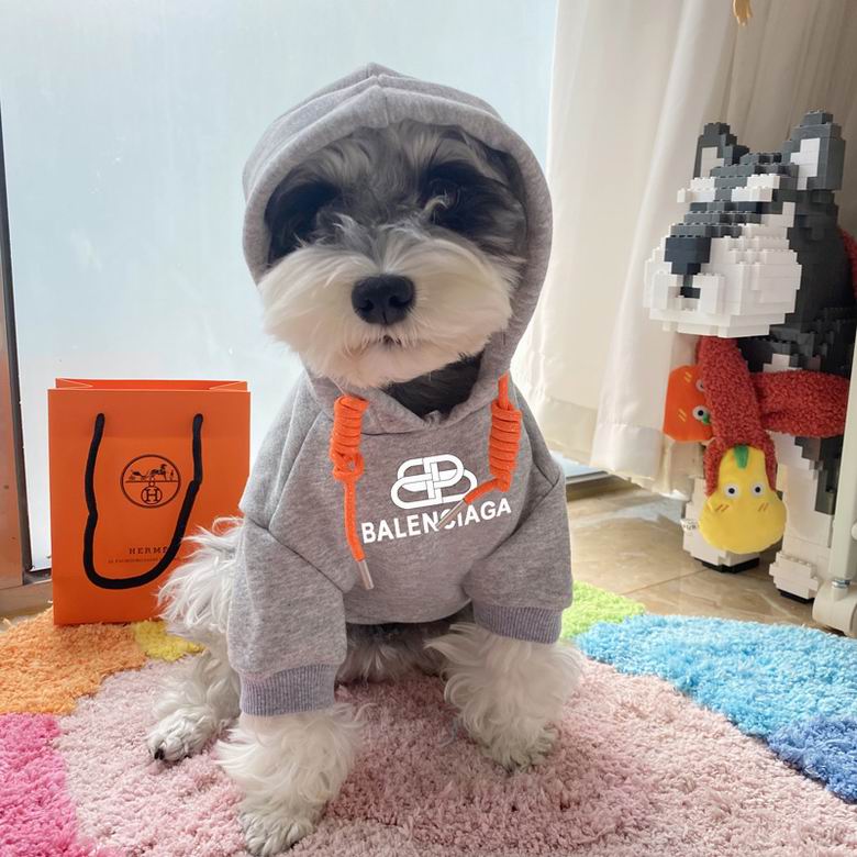 Balenciaga S-XXL  (7)