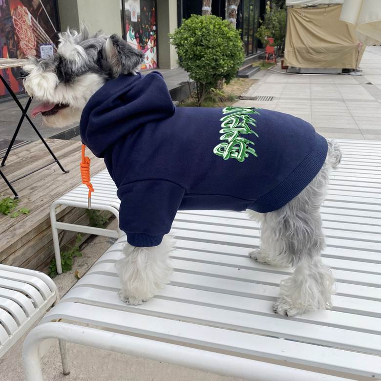 Balenciaga S-XXL  (8)