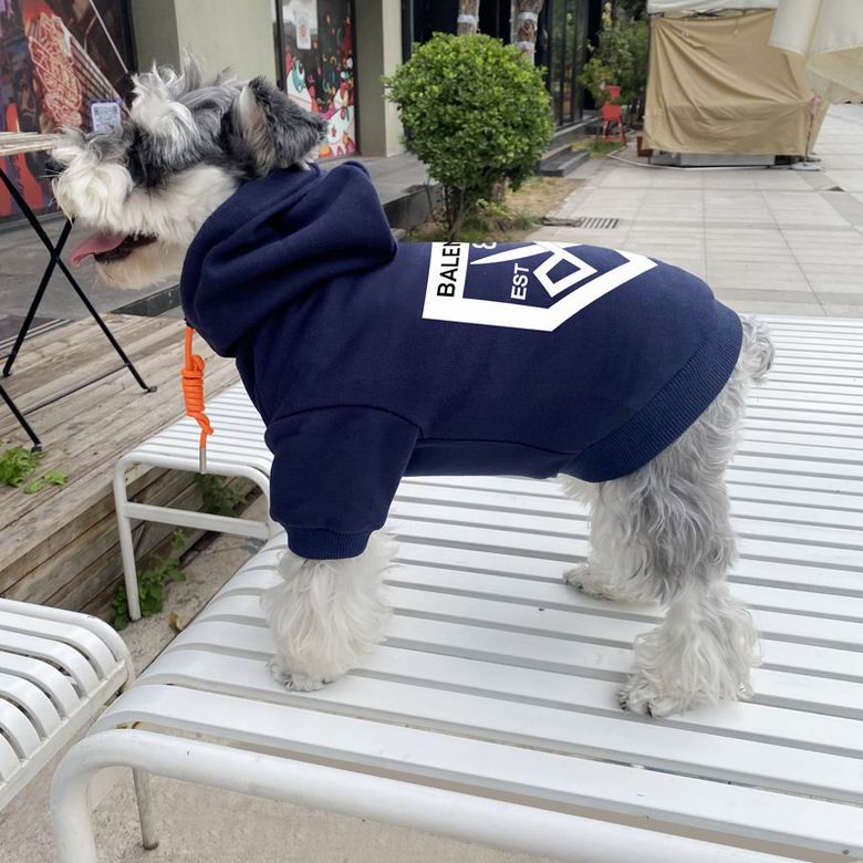 Balenciaga S-XXL  (8)