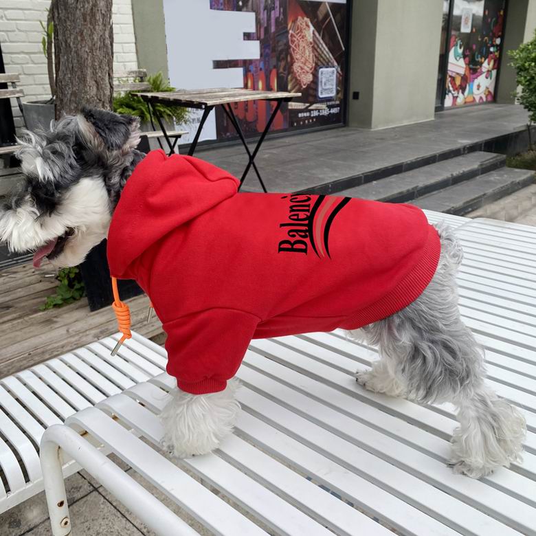 Balenciaga S-XXL  (8)