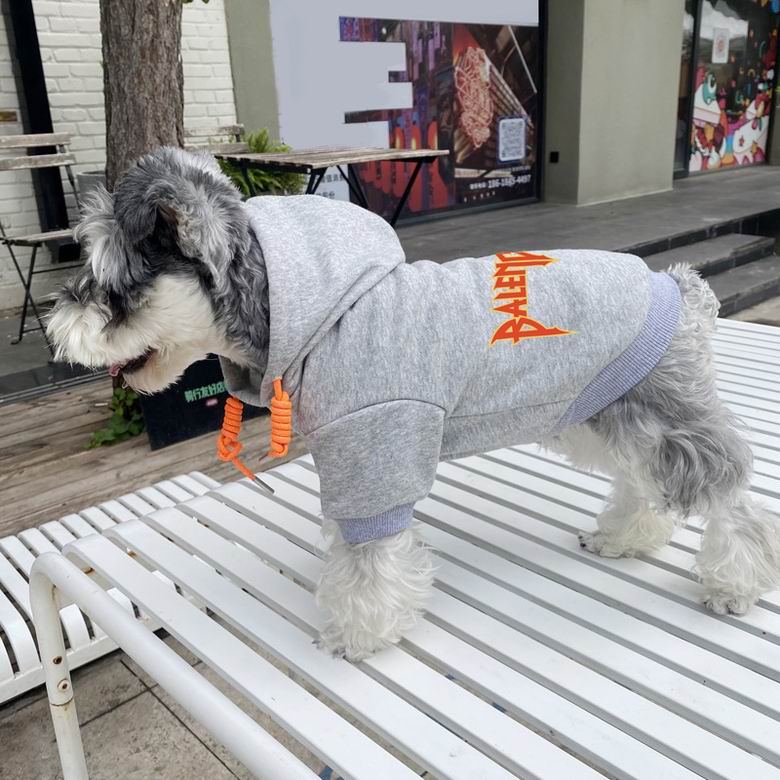 Balenciaga S-XXL  (9)